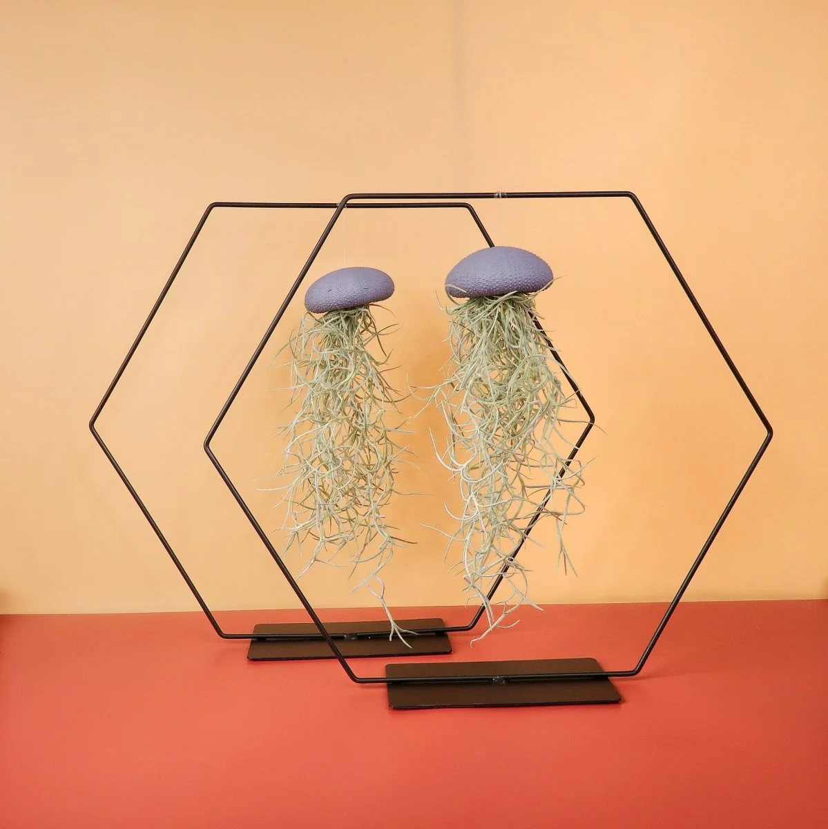 AIRPLANT HOLDER - HEXAGON BLACK - Image 6