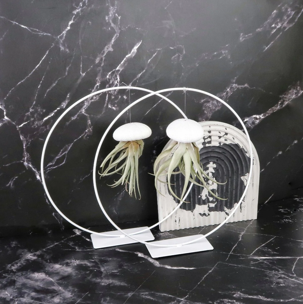 AIRPLANT HOLDER - RING WHITE - Image 10