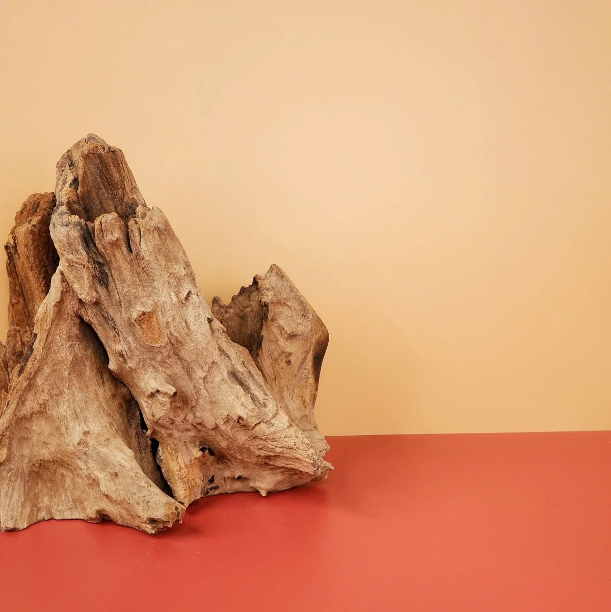 AIRPLANT HOLDER - ROOT KOUVOLA - Image 3