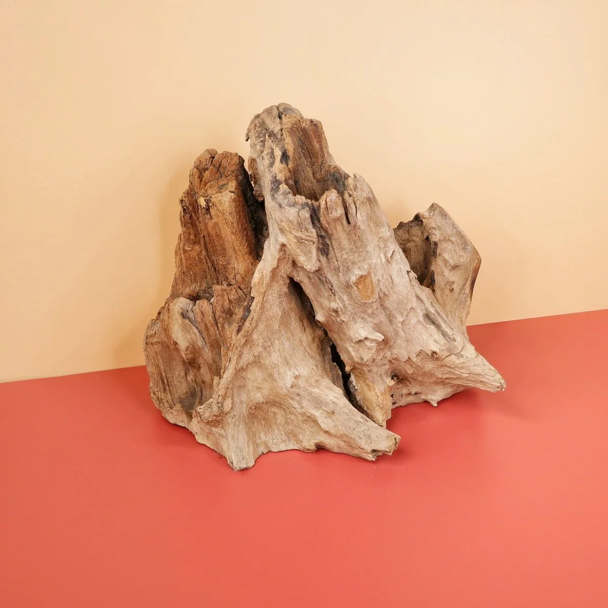 AIRPLANT HOLDER - ROOT KOUVOLA - Image 4