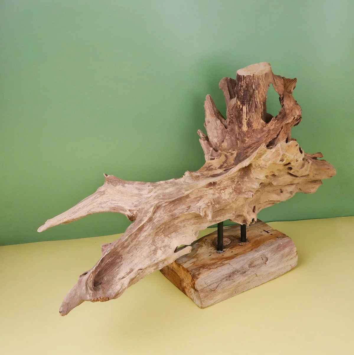 AIRPLANT HOLDER - ROOT NARVJK - Image 5