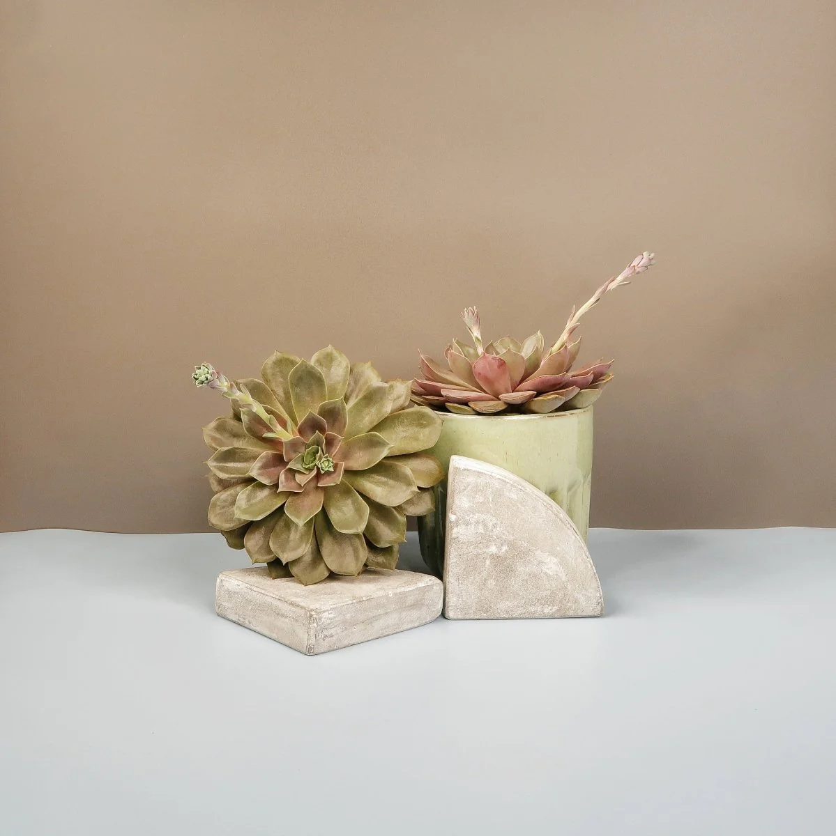 ECHEVERIA MINA