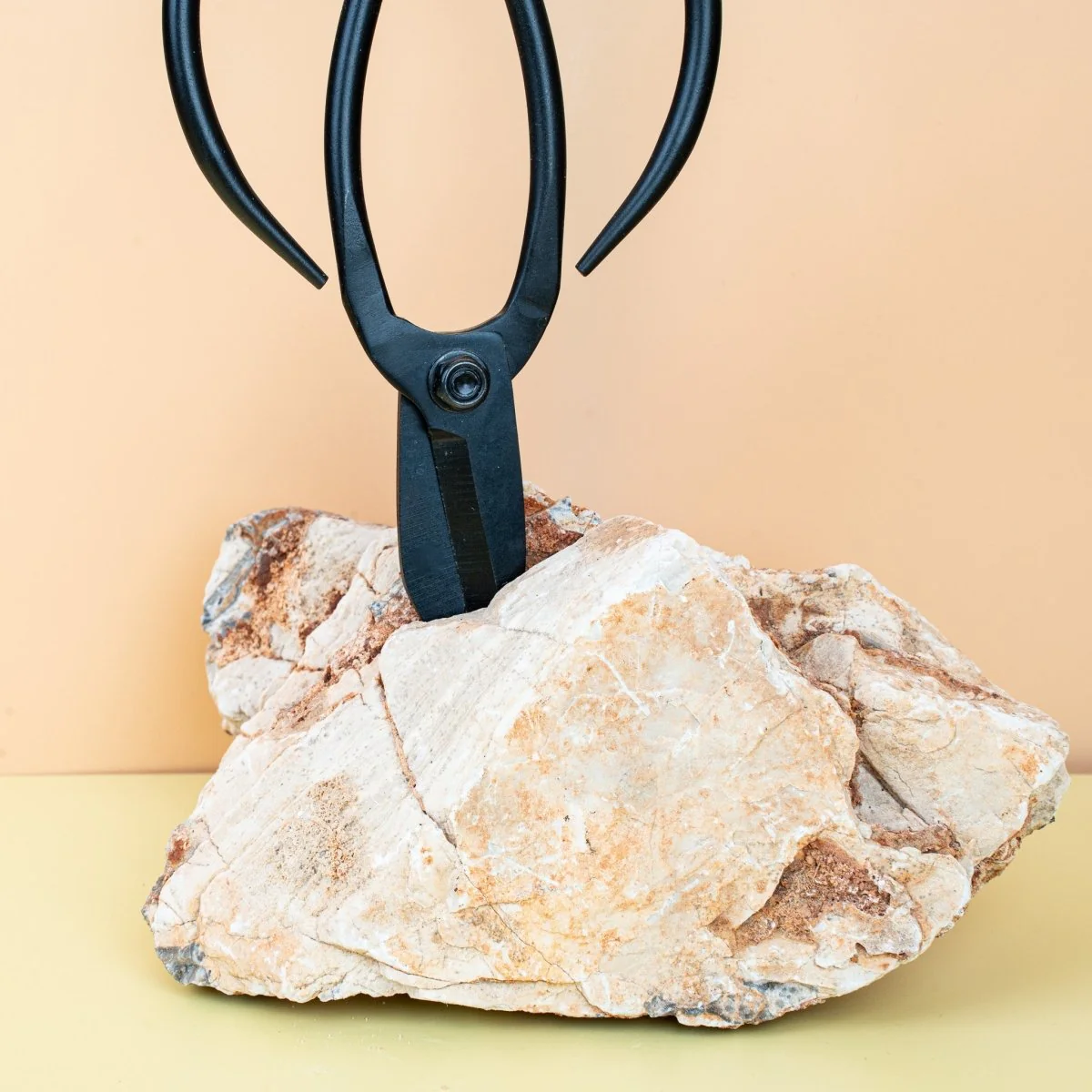 METALLSCHERE RETRO SCHWARZ - BOTANG - Image 5