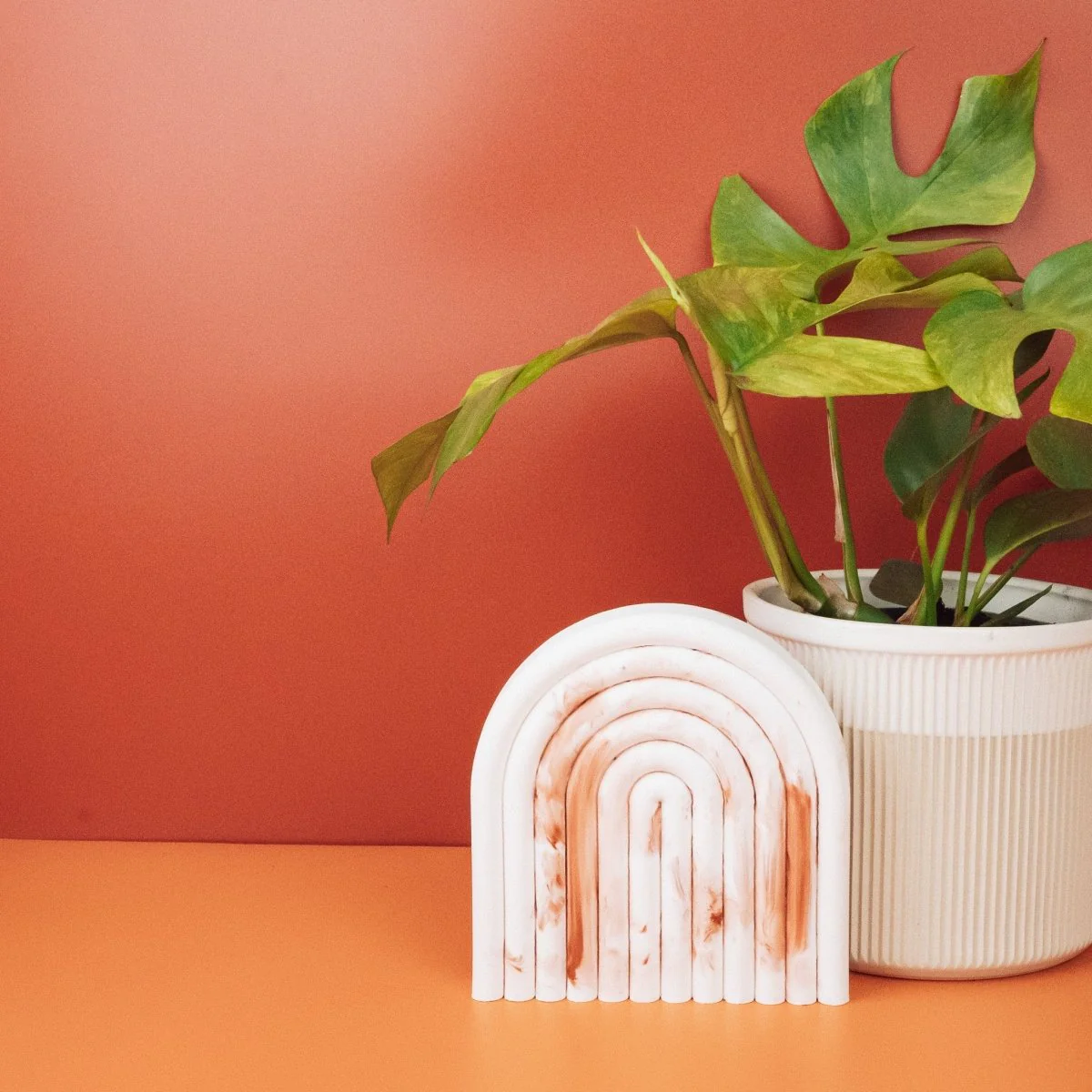 MONSTERA MINIMA VARIEGATA - Image 3
