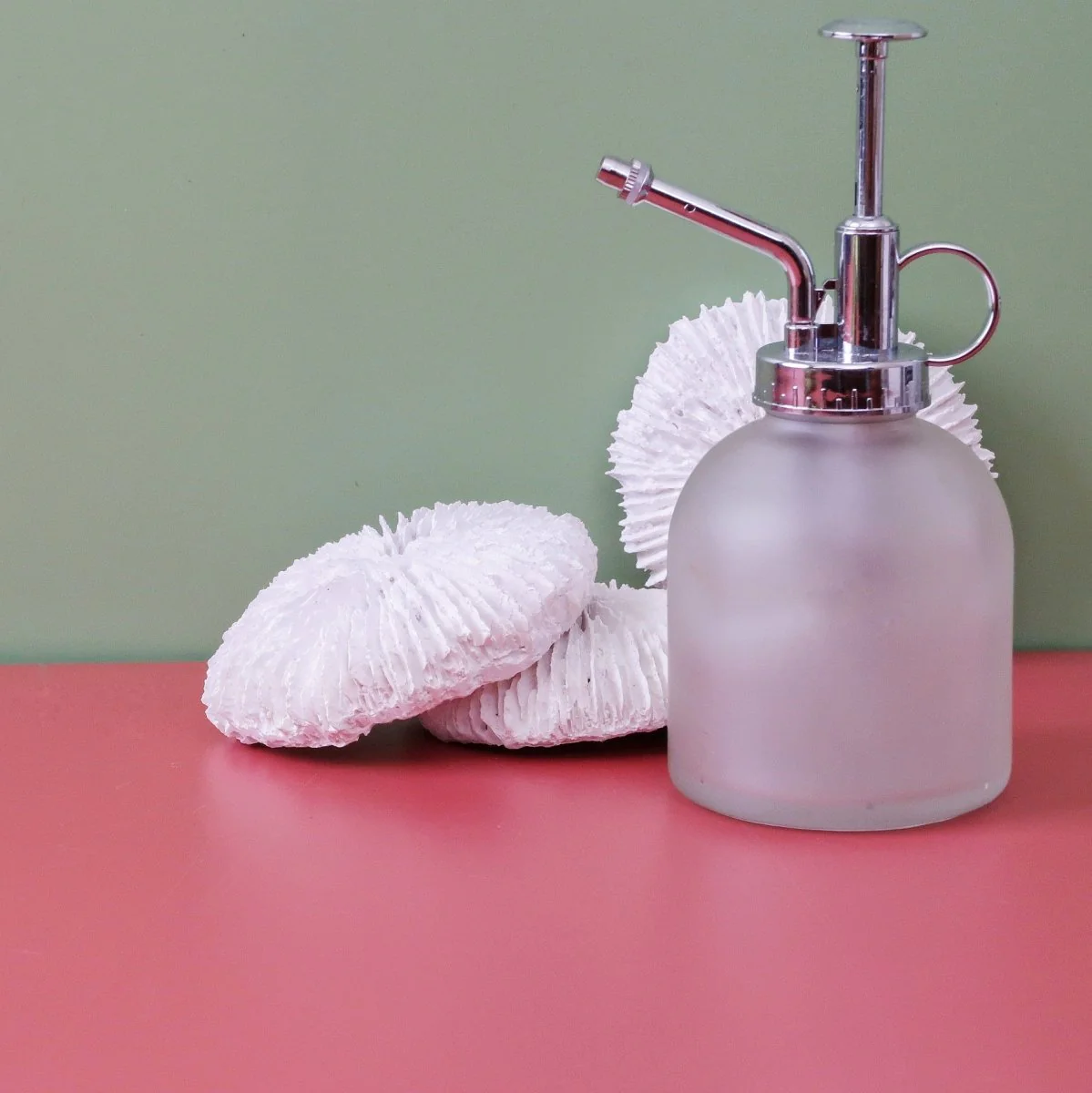 SPRÜHFLASCHE BLATO - Image 4