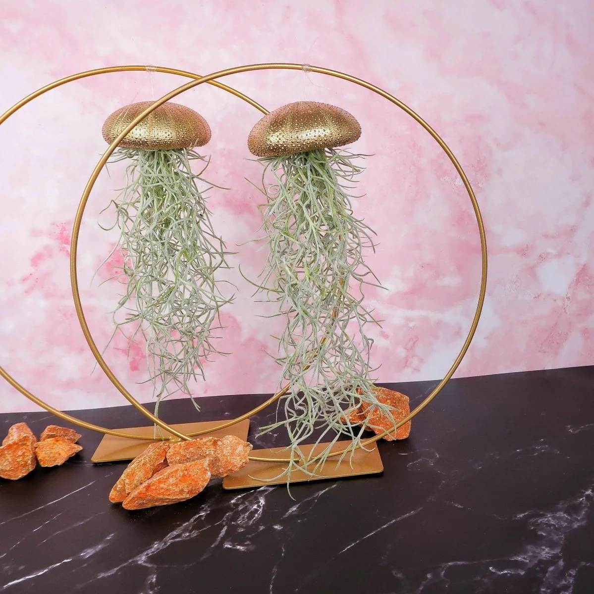 TILLANDSIA USNEOIDES - GOLD - Image 5