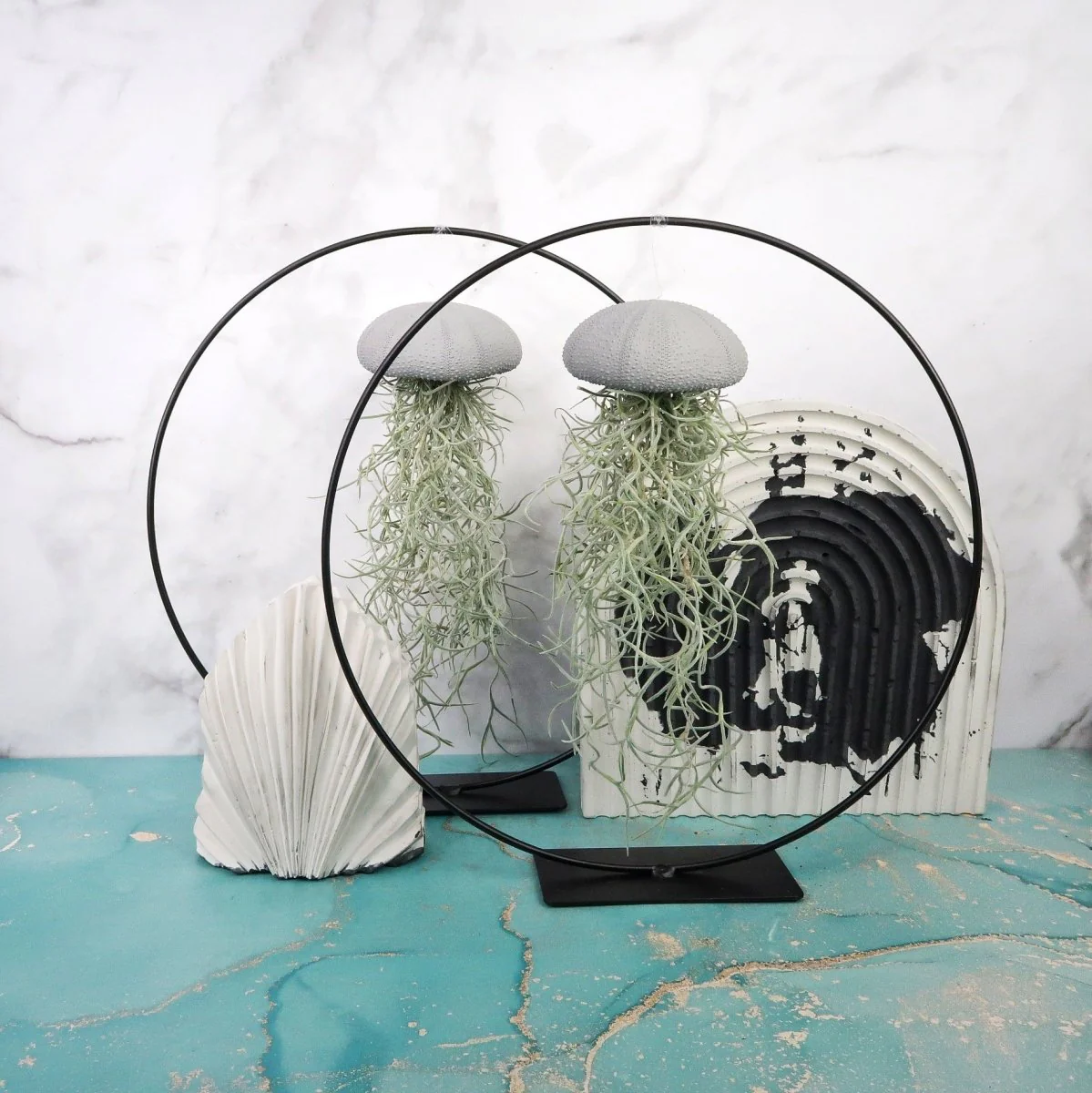 TILLANDSIA USNEOIDES - GREY