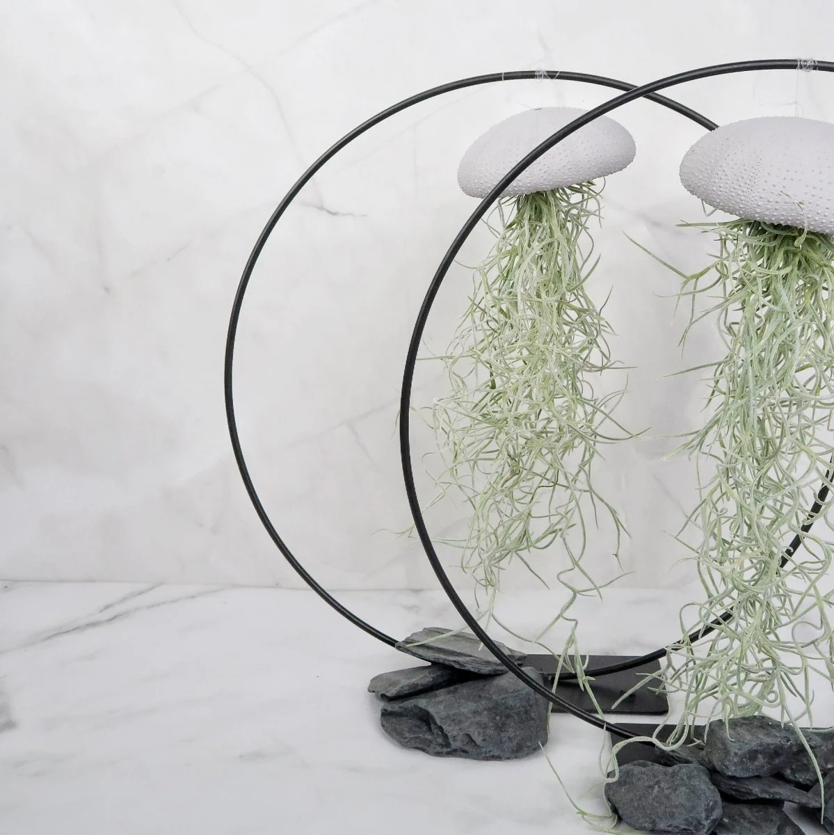 TILLANDSIA USNEOIDES - LAVENDER - Image 3