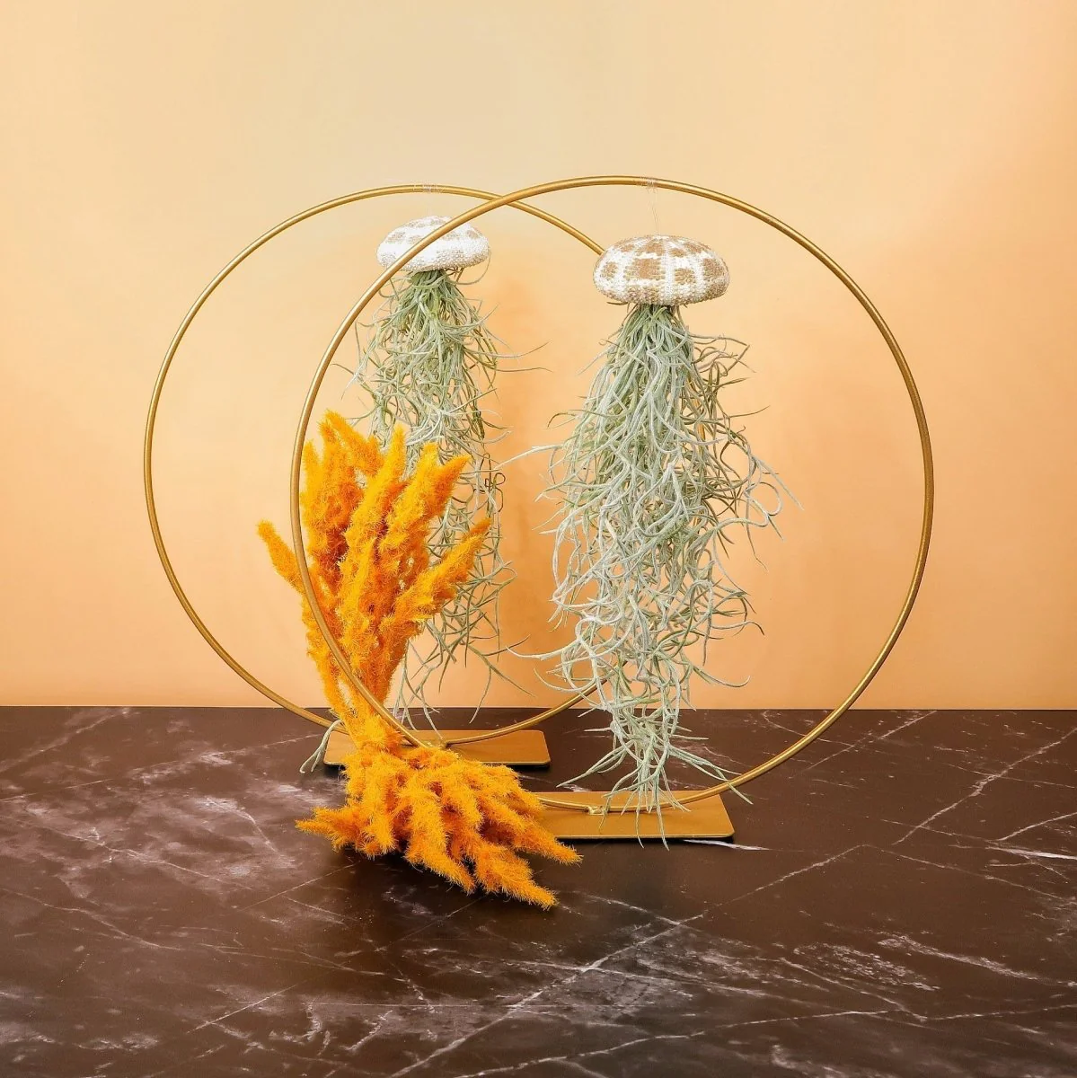 TILLANDSIA USNEOIDES - PANTHER